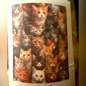 Cat Blanket